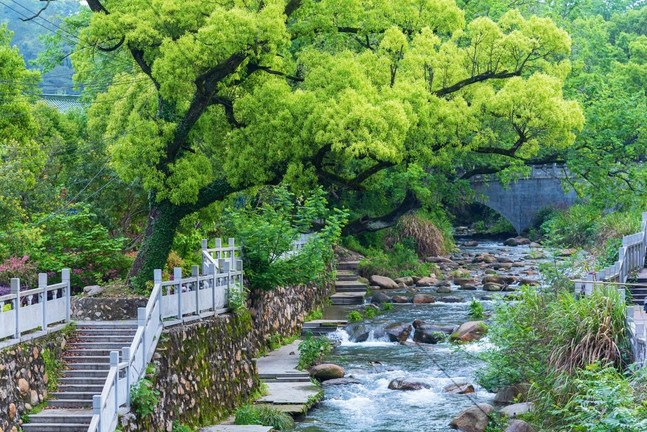 万法但有言说，都无实义