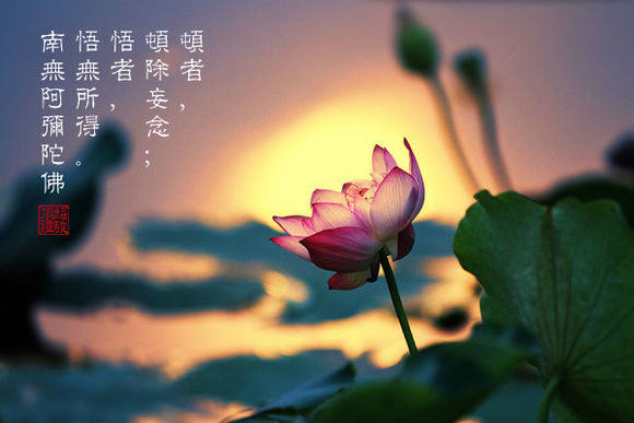 对众生要有仁爱慈悲之心