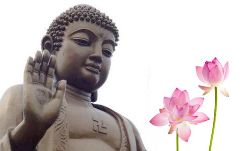 从痛苦中觉悟，往生的力量才能坚定