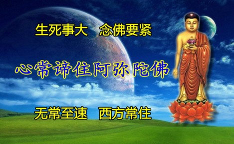 阿弥陀佛的清净法身