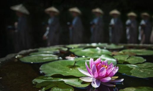 百岁老中医的养生观