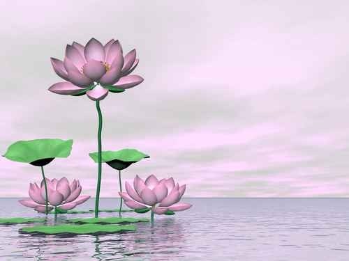 印光大师在家往生弟子——丁大定居士