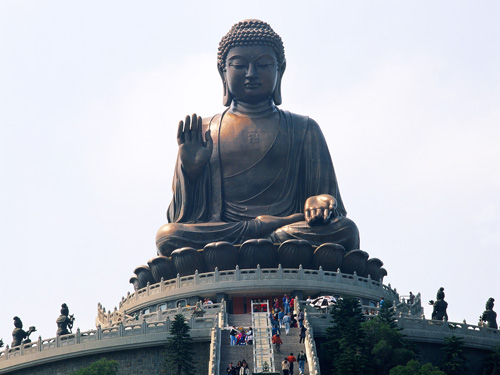 佛陀十号的详解