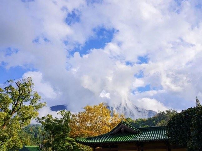 望前名果，望后名因