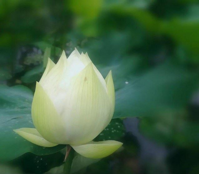 非时食戒十大益论