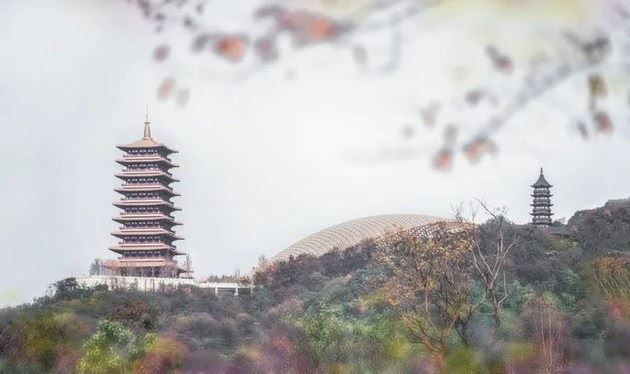 净土经论撷要