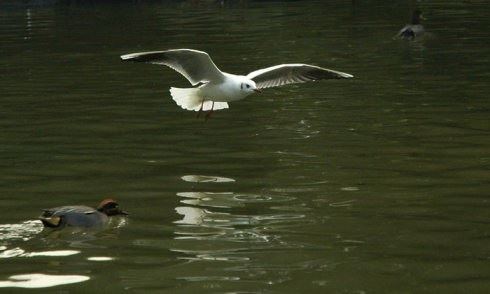 进新房有什么讲究 第一件进门的东西最好是这几