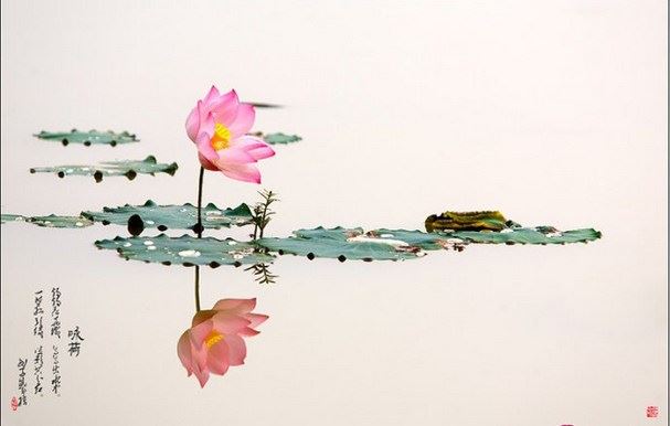 属兔带什么能招财 这5种饰品有助于属兔人招财添贵