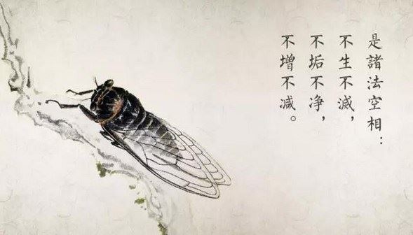 家居住宅植物风水 日常生活的摆放也能悄无声息的影响运势