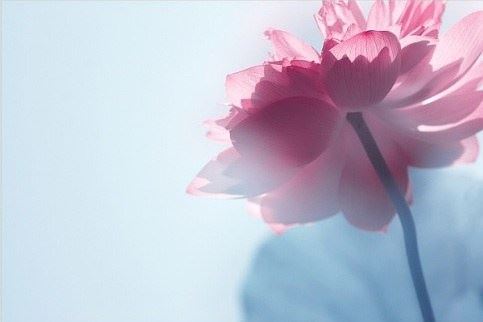 想要选到好的阳宅家居 简单入手几点即可 赶紧收藏