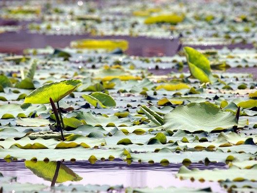 老公有第三者怎么办?怎么让老公回心转意