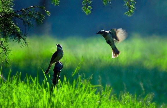 分手了两个月挽回前男友 和合术帮你化解感情危