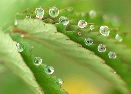 生辰八字选结婚吉日有诸多讲究 怪不得都得老师傅来选