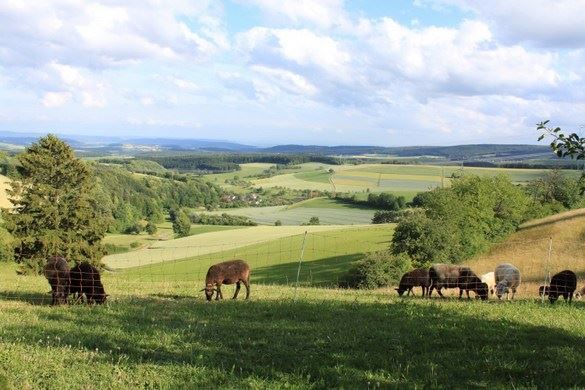 那些行内不轻易透露的辟谷真相 你都知道吗