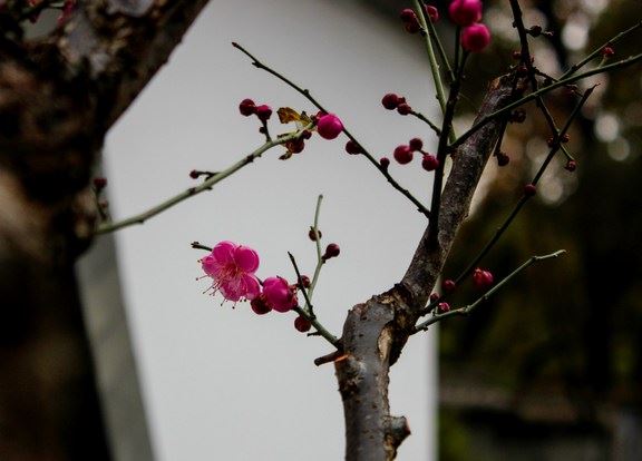 辟谷减肥注意事项 想要健康减重一定要看