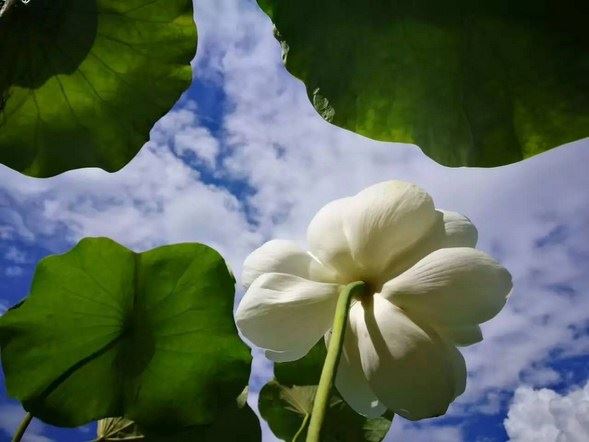 想要挽回出轨后的婚姻  双方都该学的方法