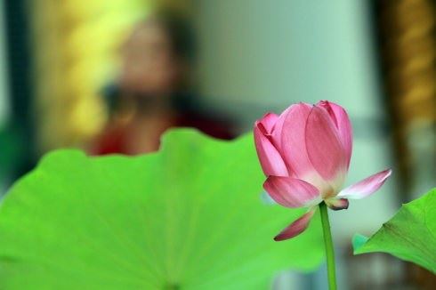 分手后挽回男爱情心理学 向过度理由效应说no