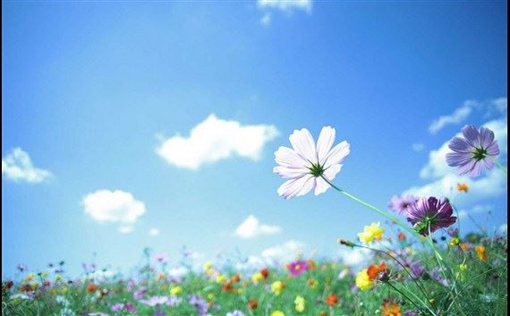 老板办公室风水讲究 利用好风水给公司带来好运气