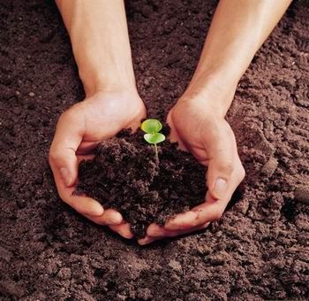 道家养生容貌变美 这是真的吗