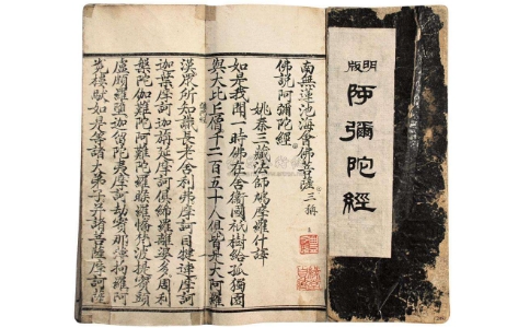学懂《阿弥陀经》，生死问题就解决了 