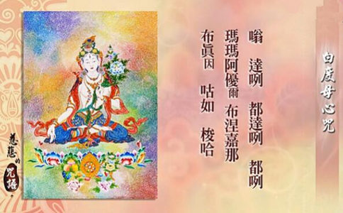 白度母心咒简介 