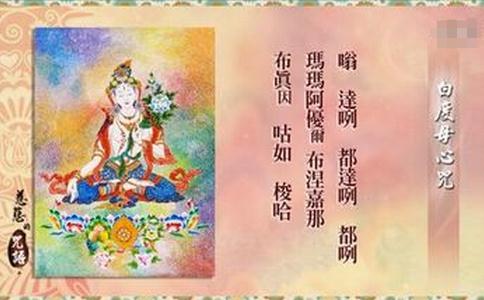 白度母心咒全文 
