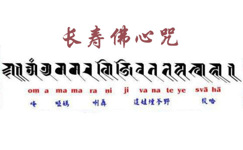 长寿佛心咒全文 