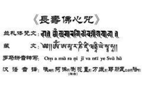 放生仪轨里最长的“长寿佛心咒” 