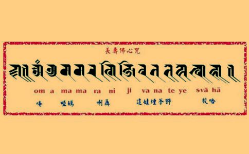 长寿佛心咒简介 