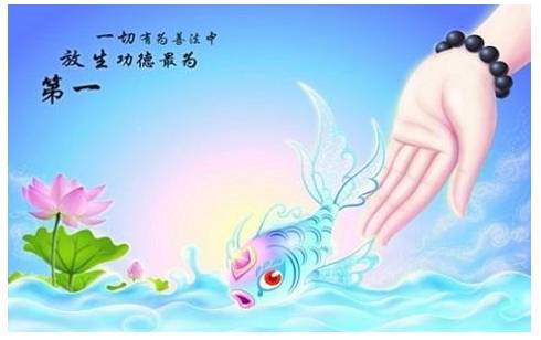 福压百祸：放生都可以实现生活所求愿望