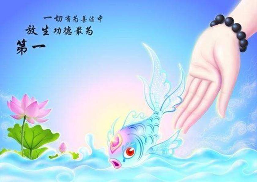 放生得良方 水族报恩 古今十二个放生救物愈疾的感人故事