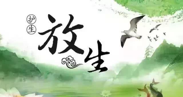 坚定放生，癌症无踪_《虚空放生感应实录》1