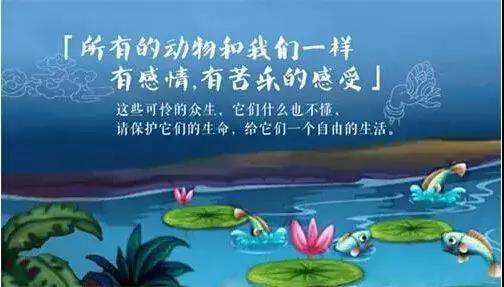 春节期间杀鸡宰鸭，不如为父母放生，这才是健康长寿之道