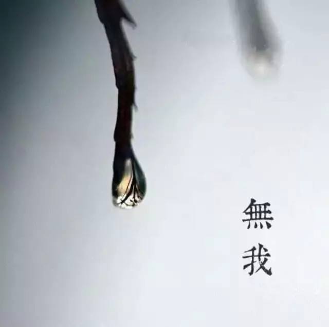 【无我】无我是什么意思？无我境界是怎样的？