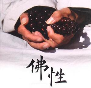佛性：佛性是什么？人人都有佛性吗？