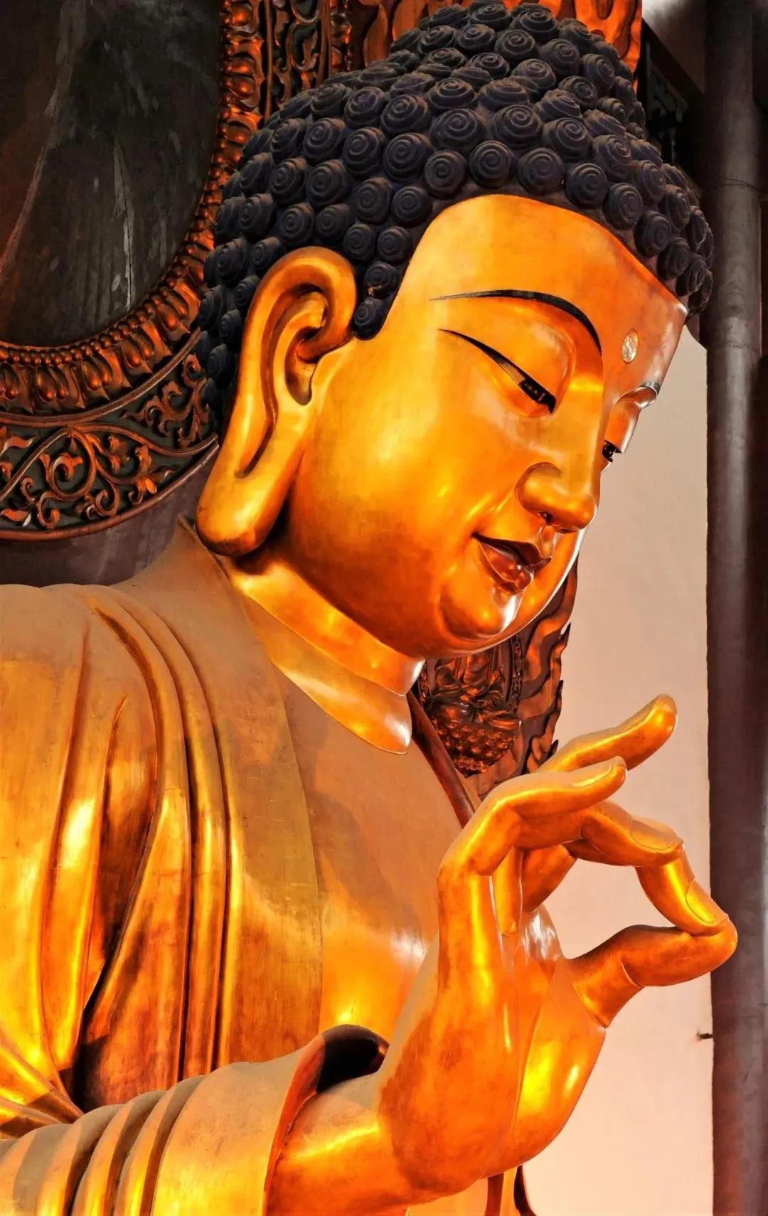 农历二月十五 释迦牟尼佛涅槃纪念日！勿忘佛恩，至诚顶礼！
