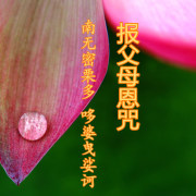 报父母恩咒全文，念报父母恩咒怎么回向？ 
