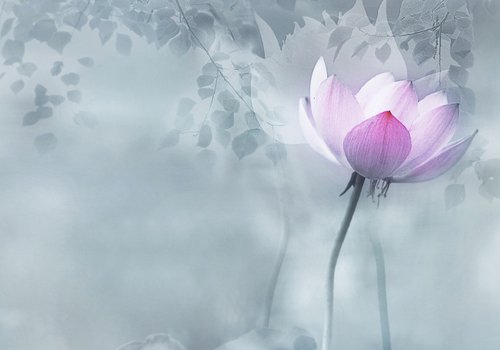 开悟和没开悟的人心境之区别 