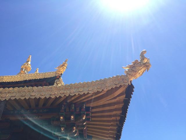 星云法师：到寺院佛殿拜佛，应注意哪些事项？ 