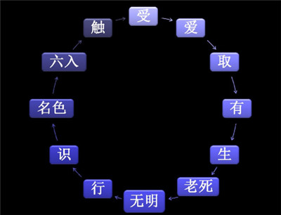什么是十二因缘? 