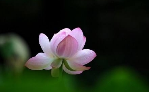 业障消除后的八种相状 