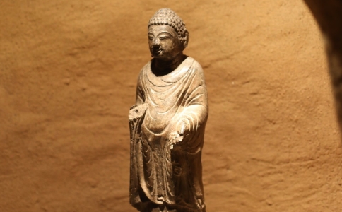 只持阿弥陀佛名号,还需要读《阿弥陀经》《无量寿经》吗?