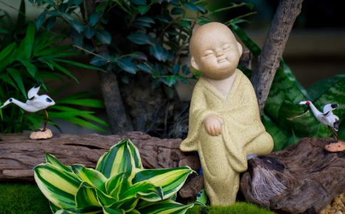 持诵大悲咒多年,未见感应,是什么原因?