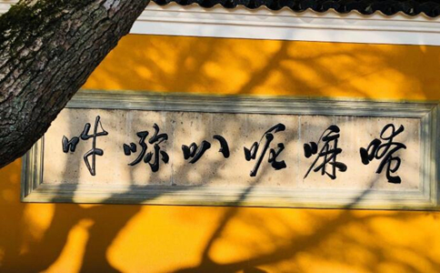学净土的人可以念观音心咒吗？ 