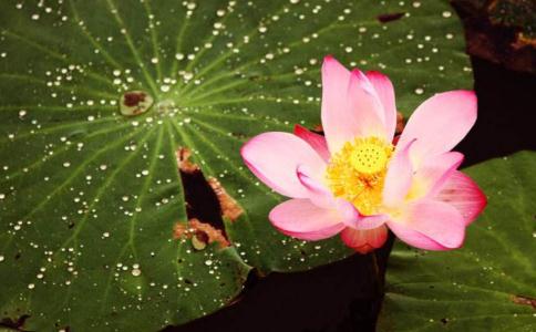 洁癖、体臭、妇科病，都是魄脏了的缘故 