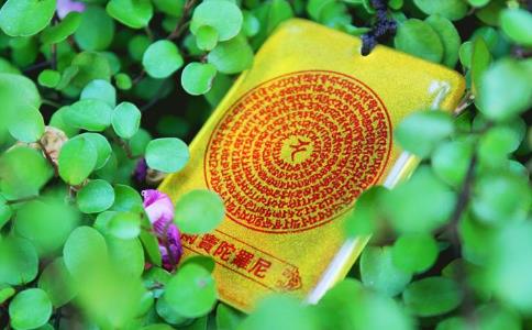 雨宝咒求财的感应 