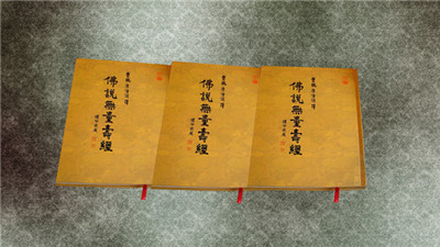 佛说无量寿经 