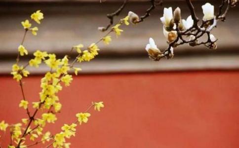 求个方便要个面子，还是求消业障和求无我 