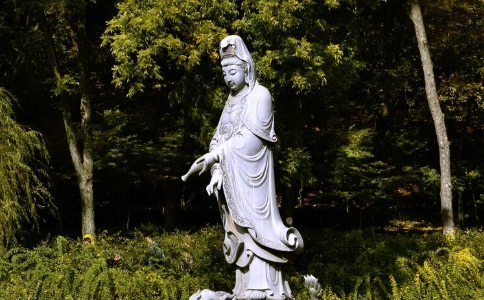 称念观世音菩萨，能减少贪、瞋、愚痴吗？ 