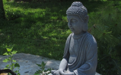 念经后回向给其他人的冤亲债主，会替他背业障吗？ 